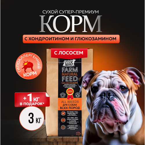 Сухой корм для собак крупных и средних пород Buddy Dinner Orange Line Hypoallergenic с лососем 3 кг + 1 кг в подарок фотография