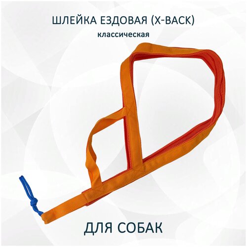 Шлейка ездовая для собак X-Back, классическая оранжевая 