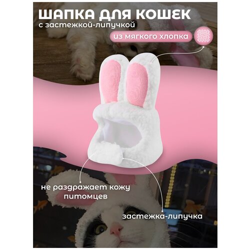 Шапочка с ушками для кошек и собак фотография