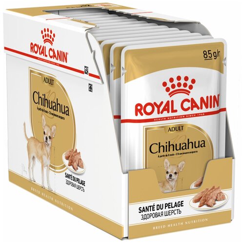 ROYAL CANIN CHIHUAHUA ADULT для взрослых собак чихуахуа паштет (85 гр х 12 шт) фотография