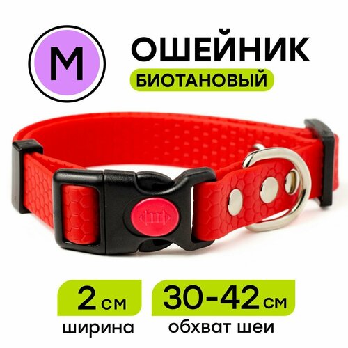 Ошейник из биотана 30-42 см (M), 20 мм, Woofy 