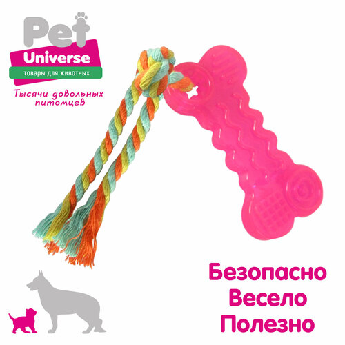 Мини косточка с канатиком Pet Universe. Для щенков и мелких пород 18*4.3 см/PU3006R фотография