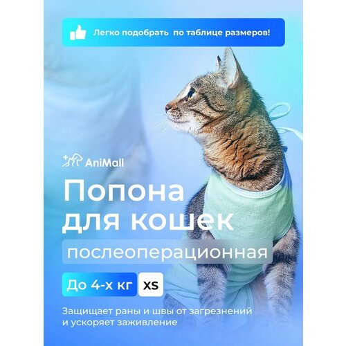 Попона для кошек послеоперационная до 4 кг AniMall фотография