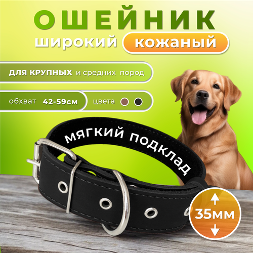 Ошейник для собак Doggy&Dog Shop натуральная кожа, широкий, с подкладом, черный фотография