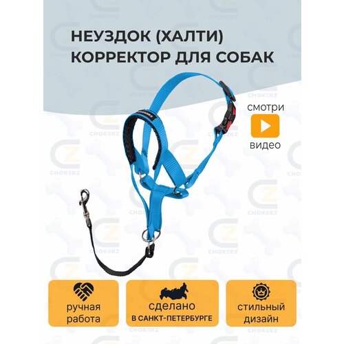 Недоуздок (Халти) №5 корректор для собак CHOKERZ. Обхват морды 26-42 см, шеи - 55-73 см фотография