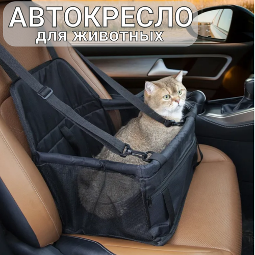 Автокресло для животных автомобильное кресло для кошек и собак фотография