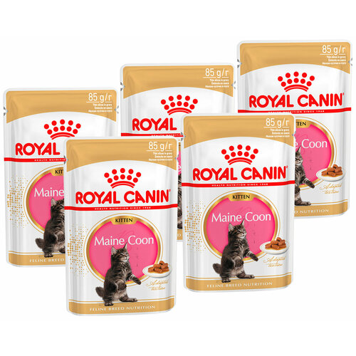 ROYAL CANIN MAINE COON KITTEN для котят мэйн кун в соусе пауч 85 гр 85 гр х 5 шт фотография