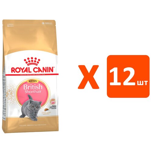 ROYAL CANIN BRITISH SHORTHAIR KITTEN 34 для британских короткошерстных котят (0,4 кг х 12 шт) фотография