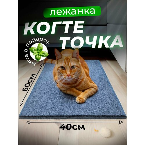 Когтеточка для кошки напольная лежанка с кошачьей мятой, 60х40 см/ серая фотография