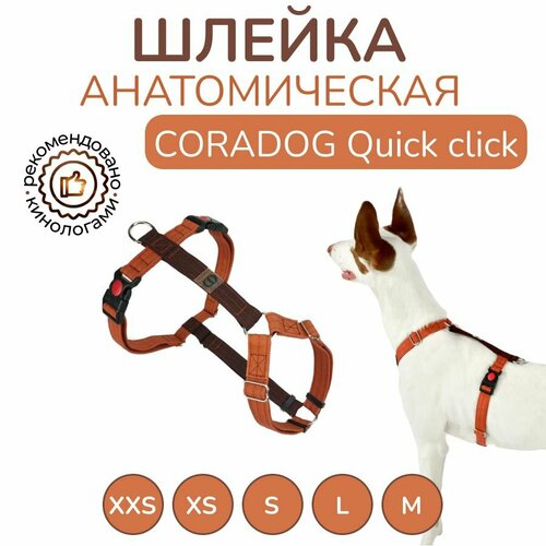 Шлейка прогулочная анатомическая для средних пород собак, CORADOG Quick click, размер S, цвет терракотовый, коричневый фотография