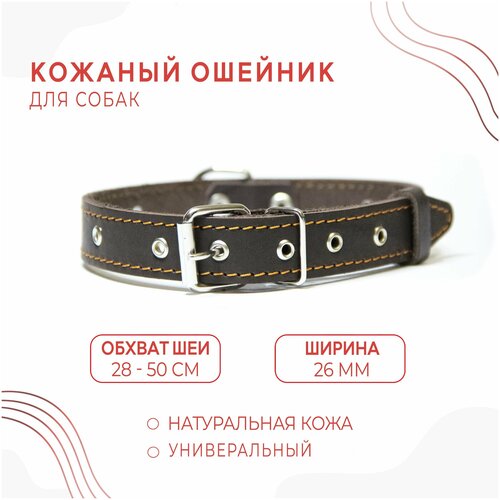 Кожаный ошейник (обхват шеи 28-50 см.) для собак / Коричневый цвет фотография