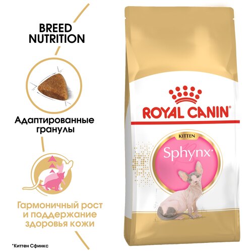 Сухой корм для котят Royal Canin Kitten Sphynx для котят породы Сфинкс от 4 до 12 месяцев 2 шт. х 400 г фотография