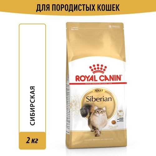 Корм для кошек Royal Canin Siberian Adult (Сибирская Эдалт) сухой специально для породы Сибирская от 12 месяцев, 2 кг фотография