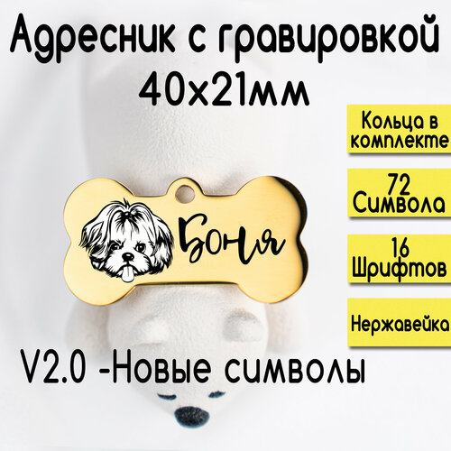 Адресник для собак и кошек с гравировкой, размер 40х21mm Золотой зеркальный (нерж сталь) v2.0 фотография