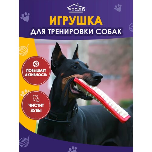 Игрушка палка для дрессировки собак красная фотография