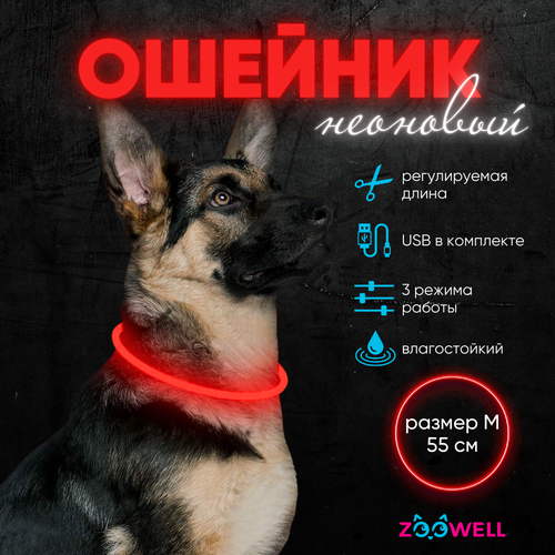 Ошейник светящийся для собак LED, 55 см красный , ZOOWELL с регулируемой длиной фотография