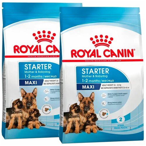 ROYAL CANIN MAXI STARTER для щенков крупных пород до 2 месяцев, беременных и кормящих сук (15 + 15 кг) фотография