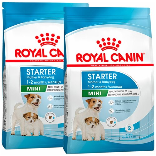 ROYAL CANIN MINI STARTER для щенков маленьких пород до 2 месяцев, беременных и кормящих сук (3 + 3 кг) фотография