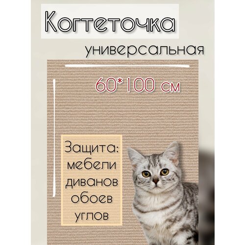 Когтеточка самоклеящаяся для кошек фотография