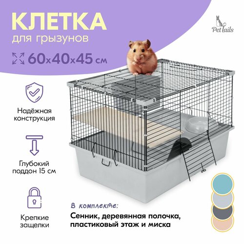 Клетка ГЕРА-1 