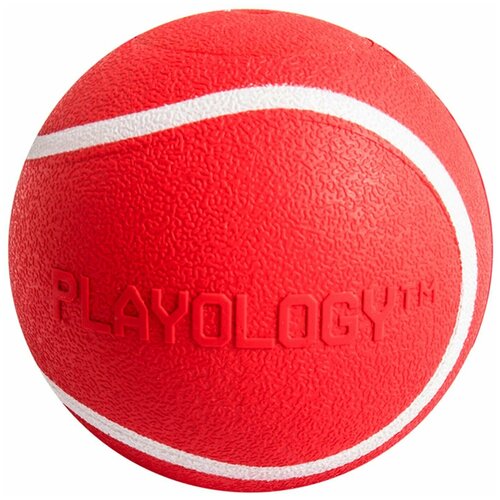 Playology хрустящий жевательный мяч SQUEAKY CHEW BALL 6 см с пищалкой и с ароматом говядины, красный фотография