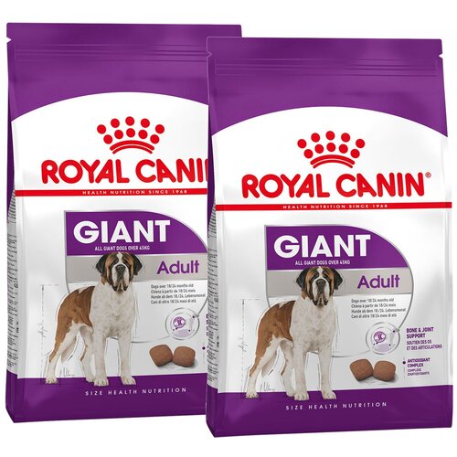 ROYAL CANIN GIANT ADULT для взрослых собак крупных пород (4 + 4 кг) фотография