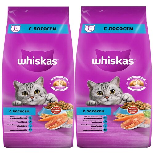 WHISKAS аппетитный обед для взрослых кошек c лососем с нежным паштетом (5 + 5 кг) фотография