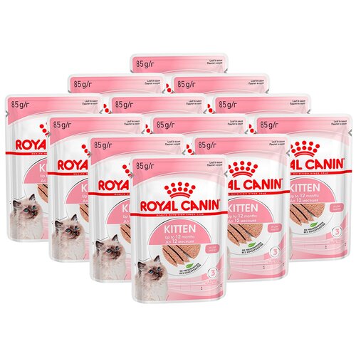 Royal Canin Консервы в виде паштета для котят с 4 до 12 месяцев и беременных кошек Kitten Loaf (85 г) фотография