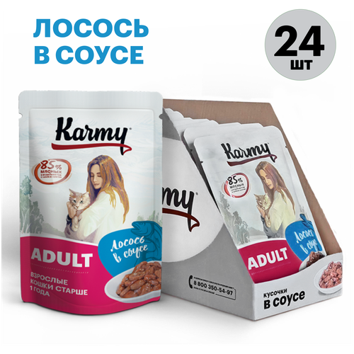 корм для кошек Karmy Adult, лосось 24 шт. х 80 г (кусочки в соусе) фотография