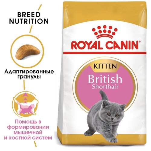 Сухой корм для котят Royal Canin Kitten British Shorthair для британских короткошерстных котят от 4 до 12 месяцев 2 уп. х 400 г фотография