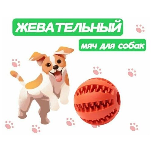 Жевательная игрушка мяч для собак и кошек, шарик для чистки зубов 5см фотография