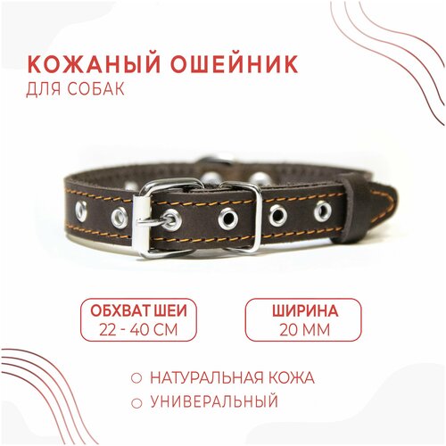 Кожаный ошейник (обхват шеи 22-40 см.) для собак / Коричневый фотография