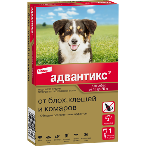 Адвантикс (Elanco)  для собак от 10 до 25 кг для защиты от блох, иксодовых клещей и летающих насекомых и переносимых ими заболеваний, 1 пипетка в упаковке фотография