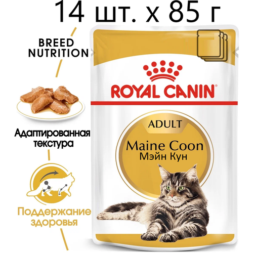 Влажный корм для кошек Royal Canin Maine Coon Adult, для взрослых кошек породы мейн-кун, 14 шт. х 85 г (кусочки в соусе) фотография