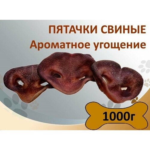 Пятачки свиные 1000г, натуральное лакомство для собак фотография