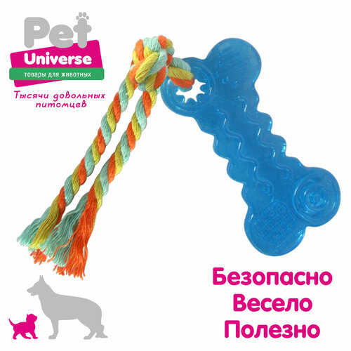 Мини косточка с канатиком Pet Universe. Для щенков и мелких пород 18*4.3 см /PU3006BE фотография