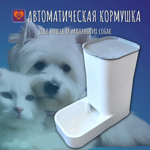 Автокормушка Антицарапки для кошек и собак, 4л фотография