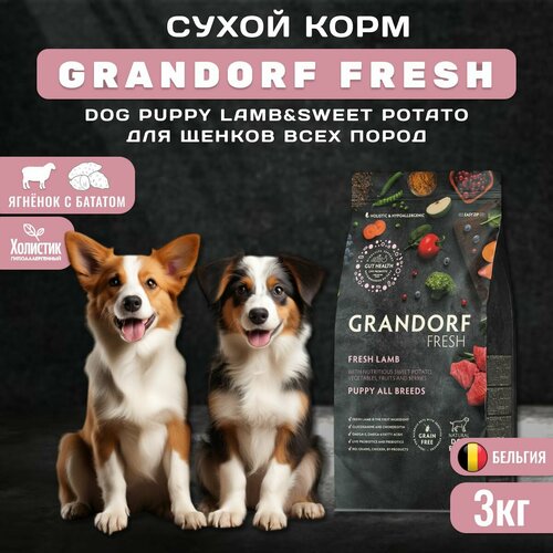 Сухой корм GRANDORF Fresh Dog PUPPY Lamb&Sweet Potato для щенков из свежего мяса ягненка с бататом, 3 кг фотография