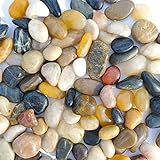 SACKORANGE 2 LB Aquarium Gravel River Rock - Natural Polished Decorative Gravel, Small Decorative Pebbles, Mixed Color Stones,for Aquariums, Landscaping, Vase Fillers (32-Oz) Photo, best price $10.99 new 2024